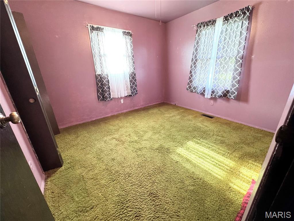 127 Hilton Avenue Panama, IL 62077 - Photo 21 of 23