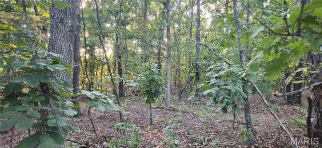 $249,900 | 77 County Road 6020, Salem, MO 65560