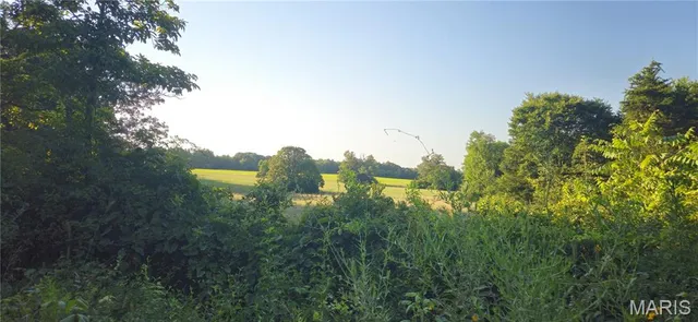 $249,900 | 77 County Road 6020, Salem, MO 65560