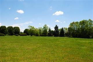 7567 Warren Road Ann Arbor, MI 48105 - Photo 8 of 8 Photo 8