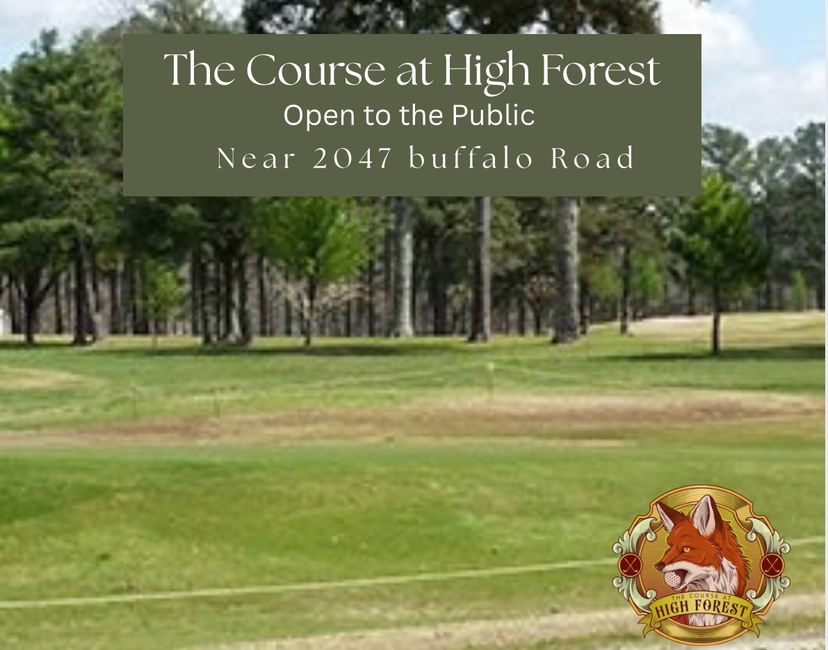 2047 Buffalo Road Hohenwald, TN 38462 - Photo 7 of 25 a view of a park that has sign board