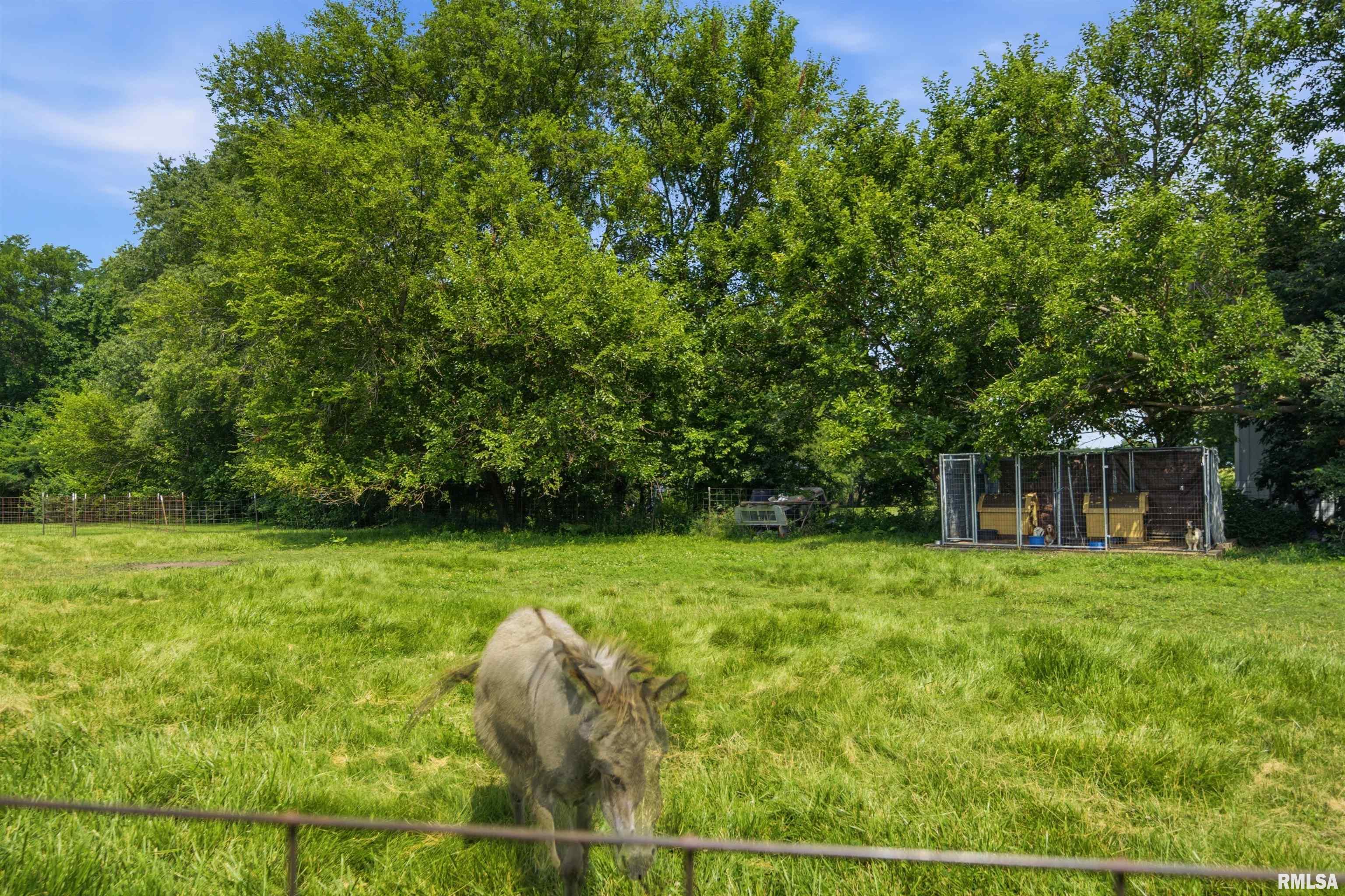12806 North Whittaker Road Brimfield, IL 61517 - Photo 43 of 61