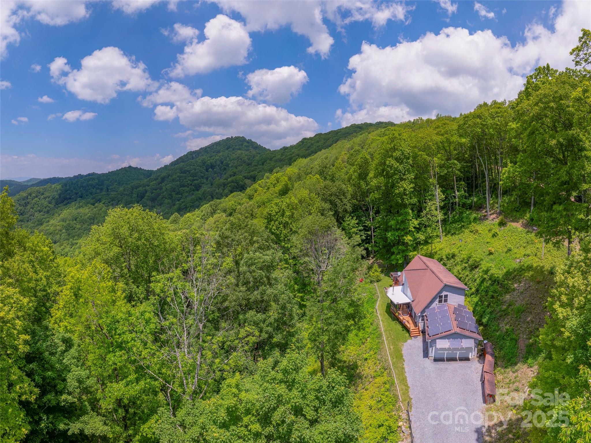 1185 Mule Stomp Road Clyde, NC 28721 - Photo 2 of 48