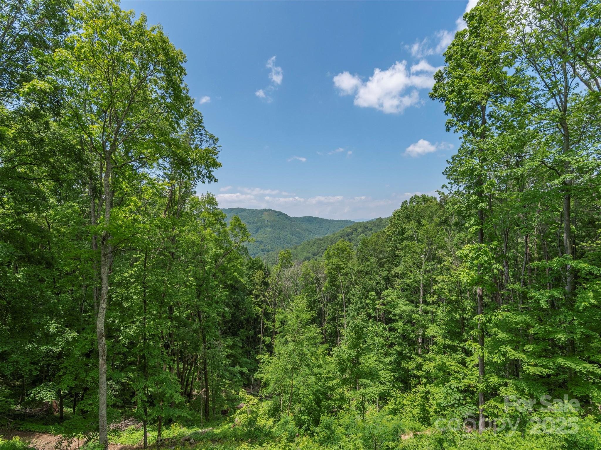 1185 Mule Stomp Road Clyde, NC 28721 - Photo 34 of 48