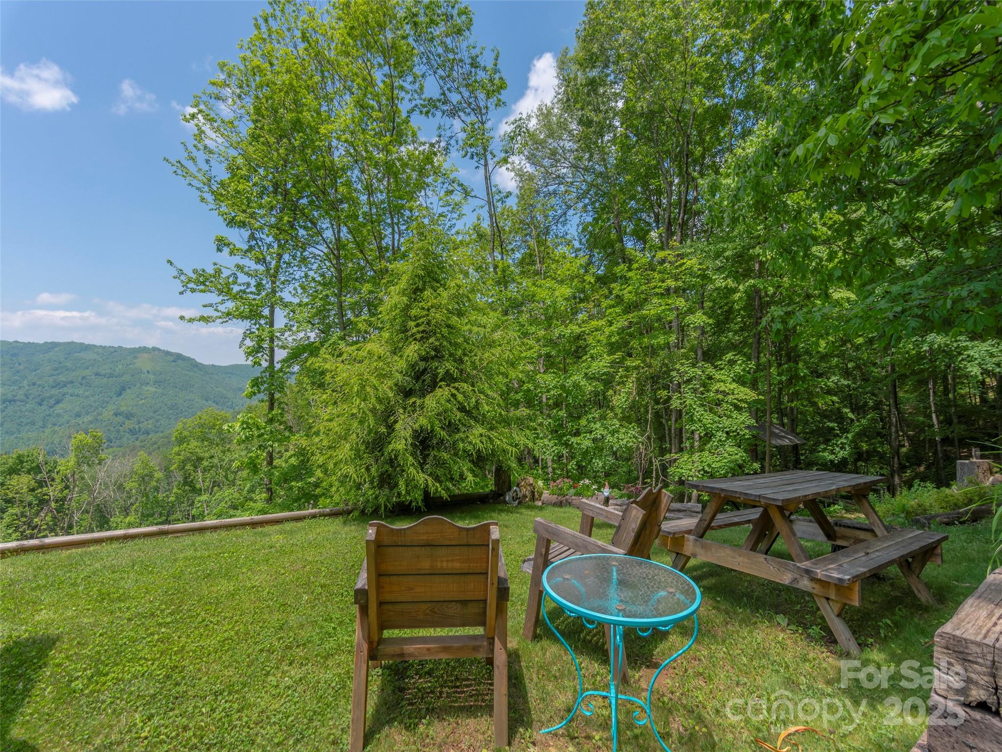 1185 Mule Stomp Road Clyde, NC 28721 - Photo 37 of 48