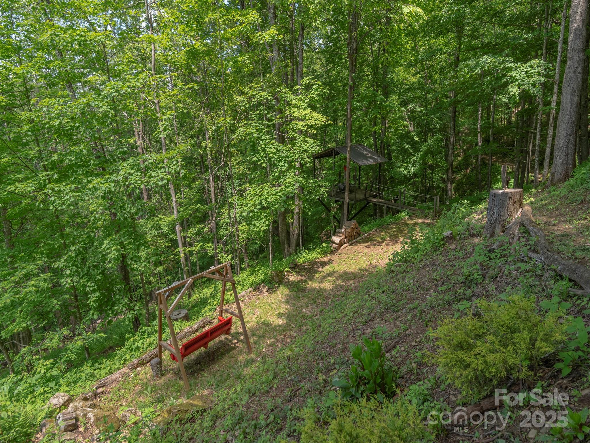 1185 Mule Stomp Road Clyde, NC 28721 - Photo 38 of 48