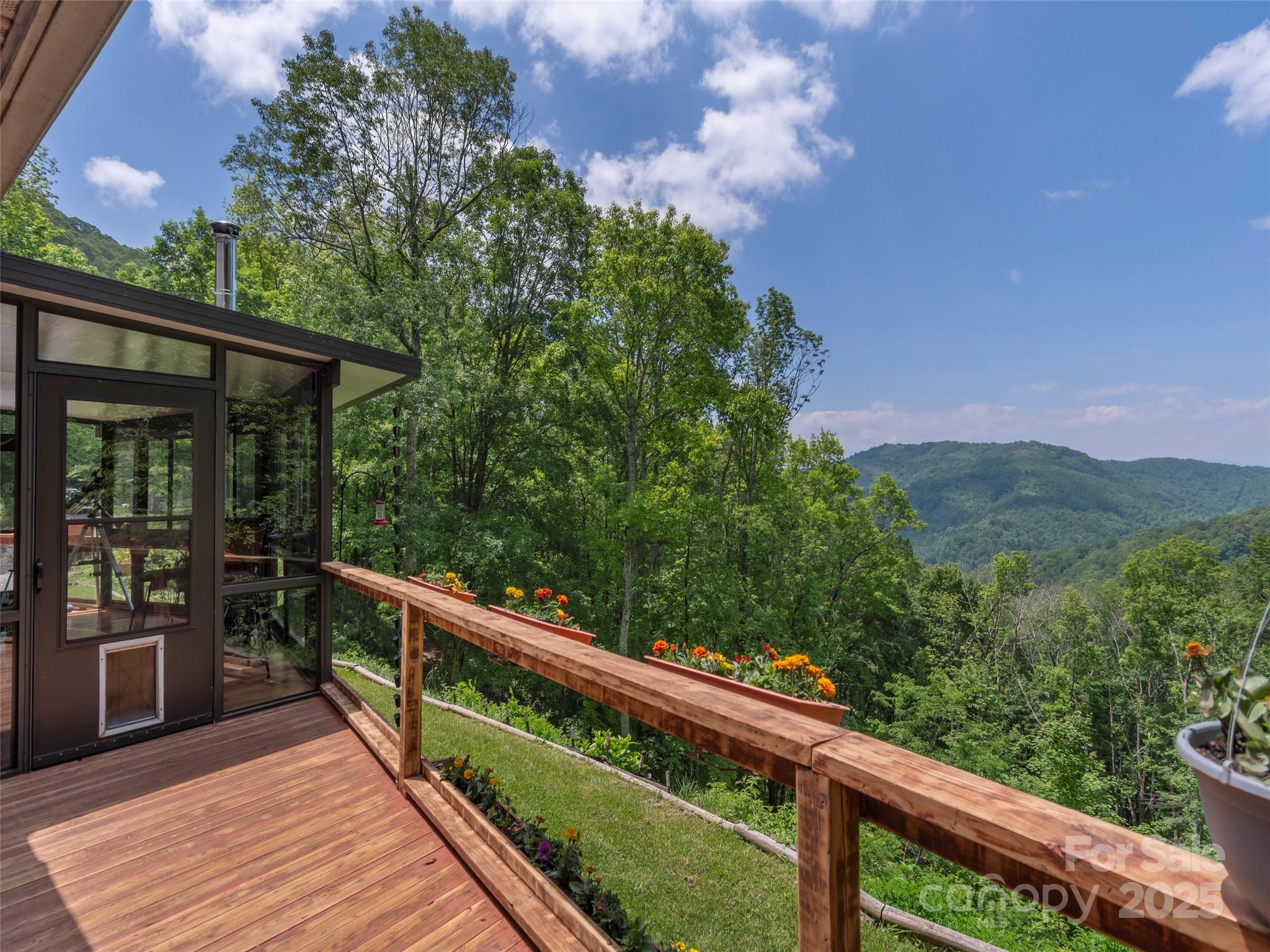 1185 Mule Stomp Road Clyde, NC 28721 - Photo 4 of 48