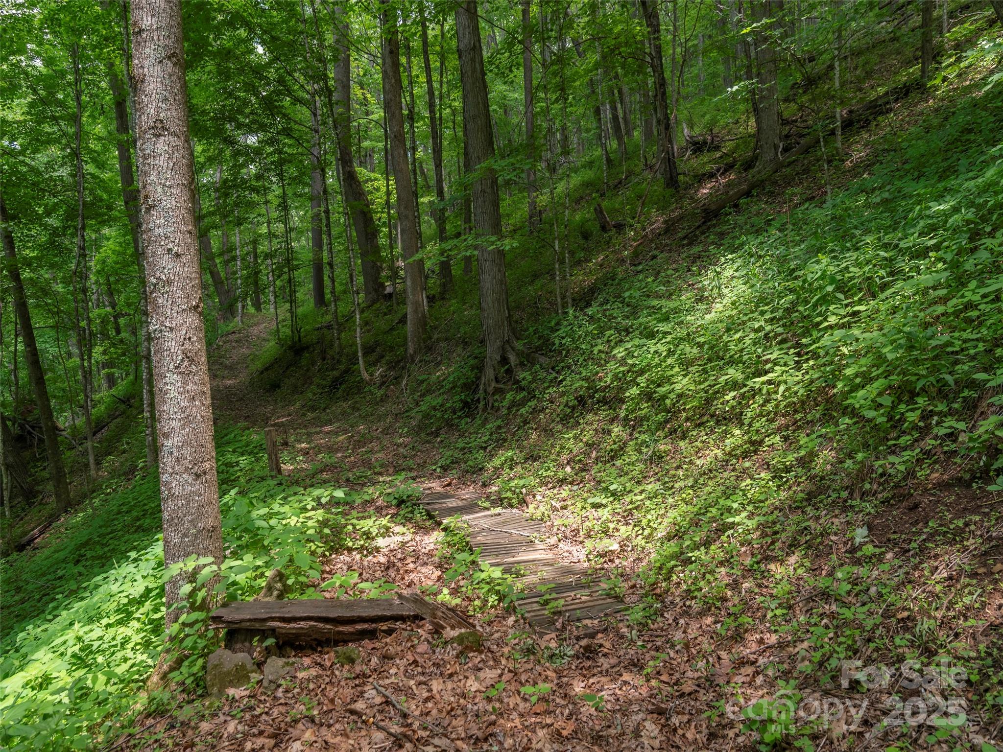 1185 Mule Stomp Road Clyde, NC 28721 - Photo 41 of 48