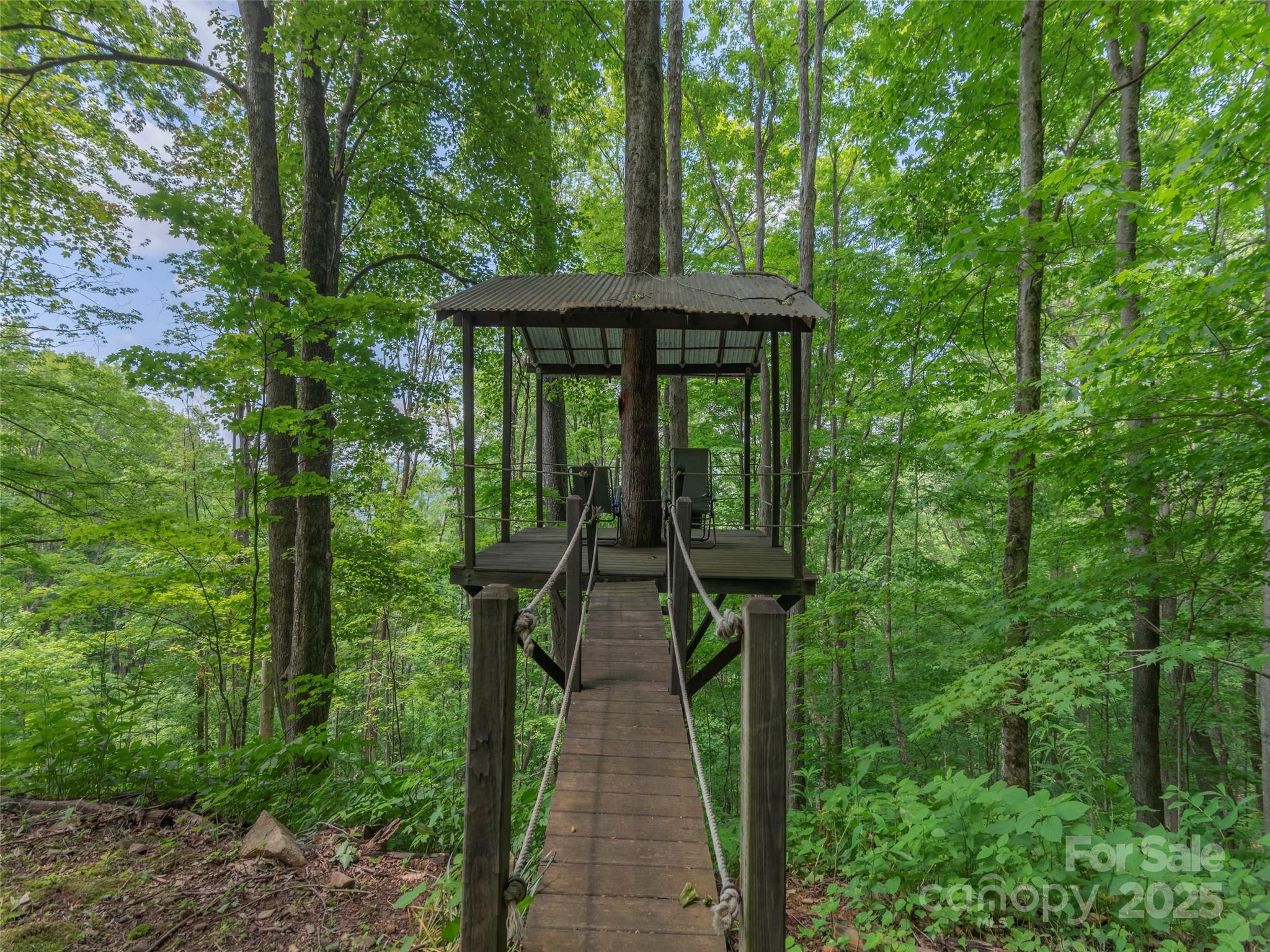 1185 Mule Stomp Road Clyde, NC 28721 - Photo 42 of 48