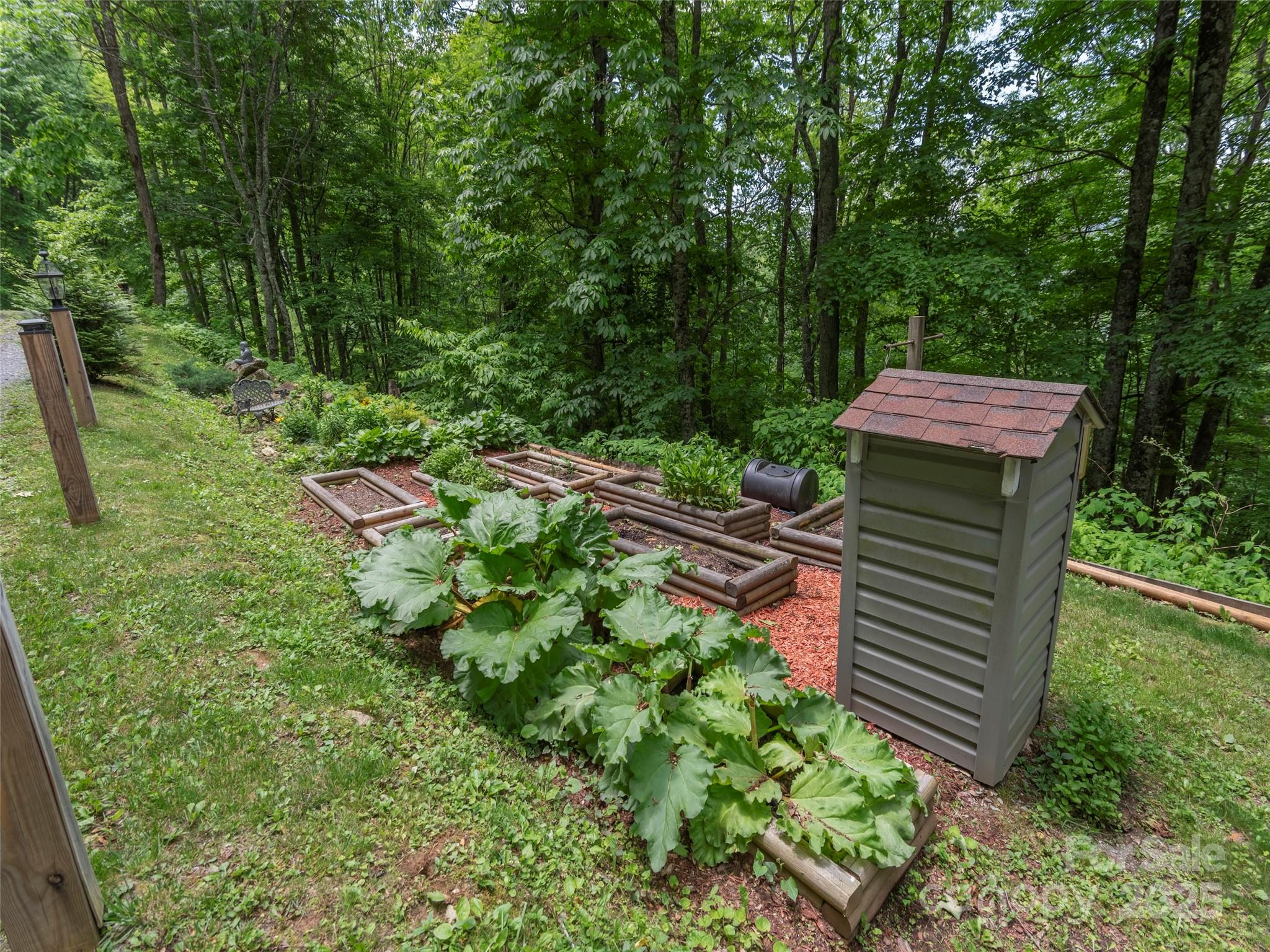 1185 Mule Stomp Road Clyde, NC 28721 - Photo 47 of 48