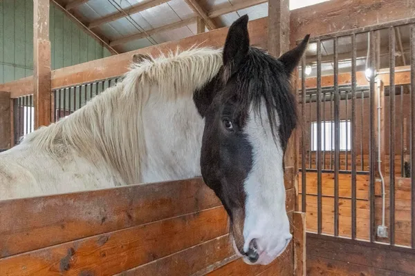 $995,000 | 190 Hardwick Road, Petersham, MA 01366