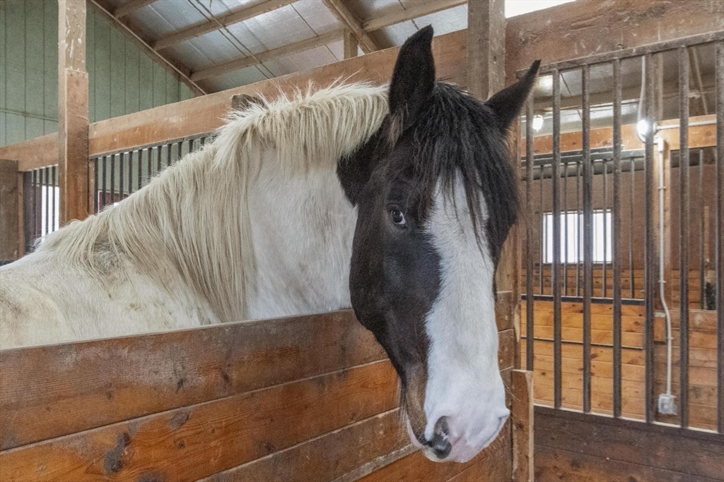 190 Hardwick Road Petersham, MA 01366 - Photo 13 of 42