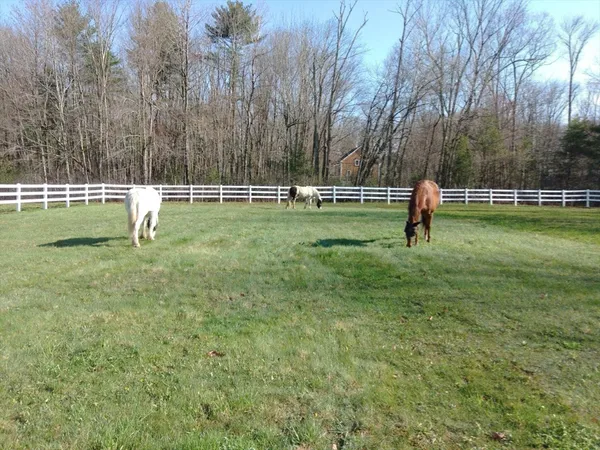 $995,000 | 190 Hardwick Road, Petersham, MA 01366