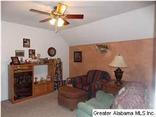 103 Hickory Ridge Road Oneonta, AL 35121 - Photo 10 of 24