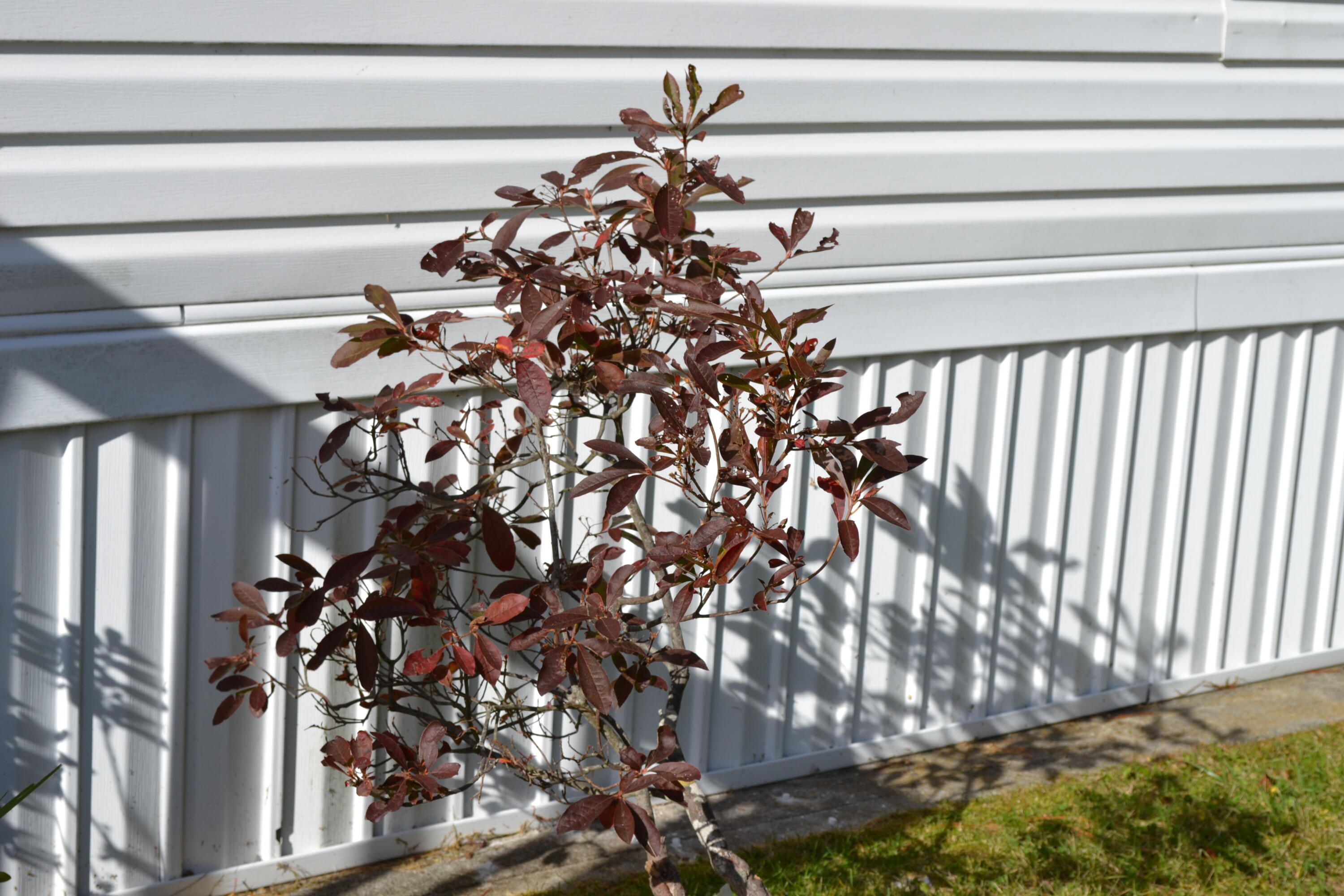 246 North Pond Road Winslow, ME 04901 - Photo 34 of 43 DSC_0515