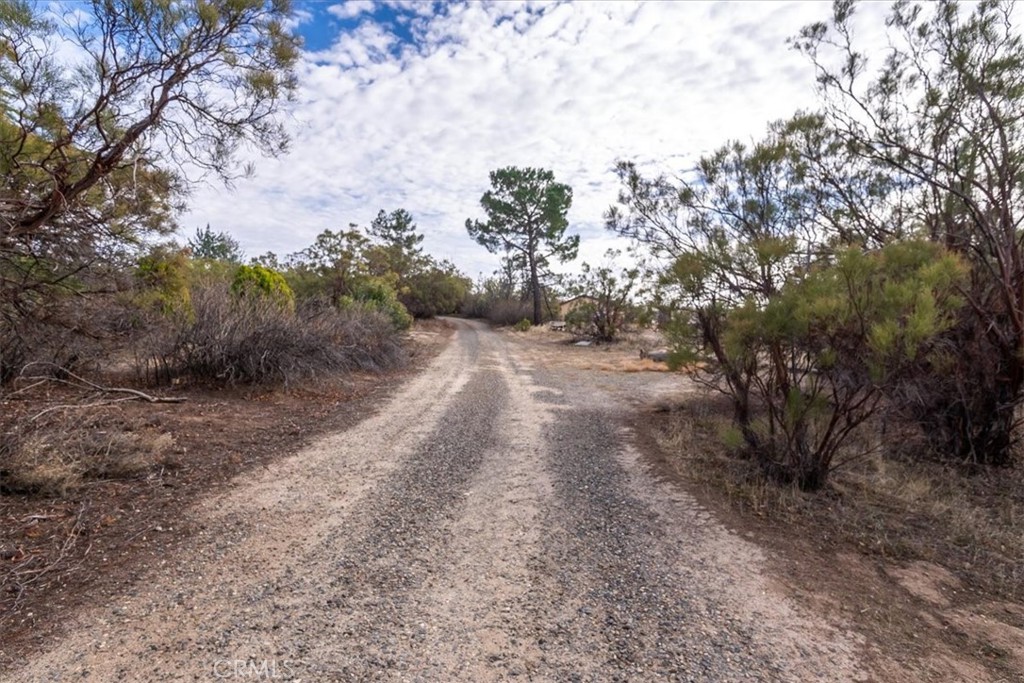 59481 Burnt Valley Road Anza, CA 92539 - Photo 61 of 65