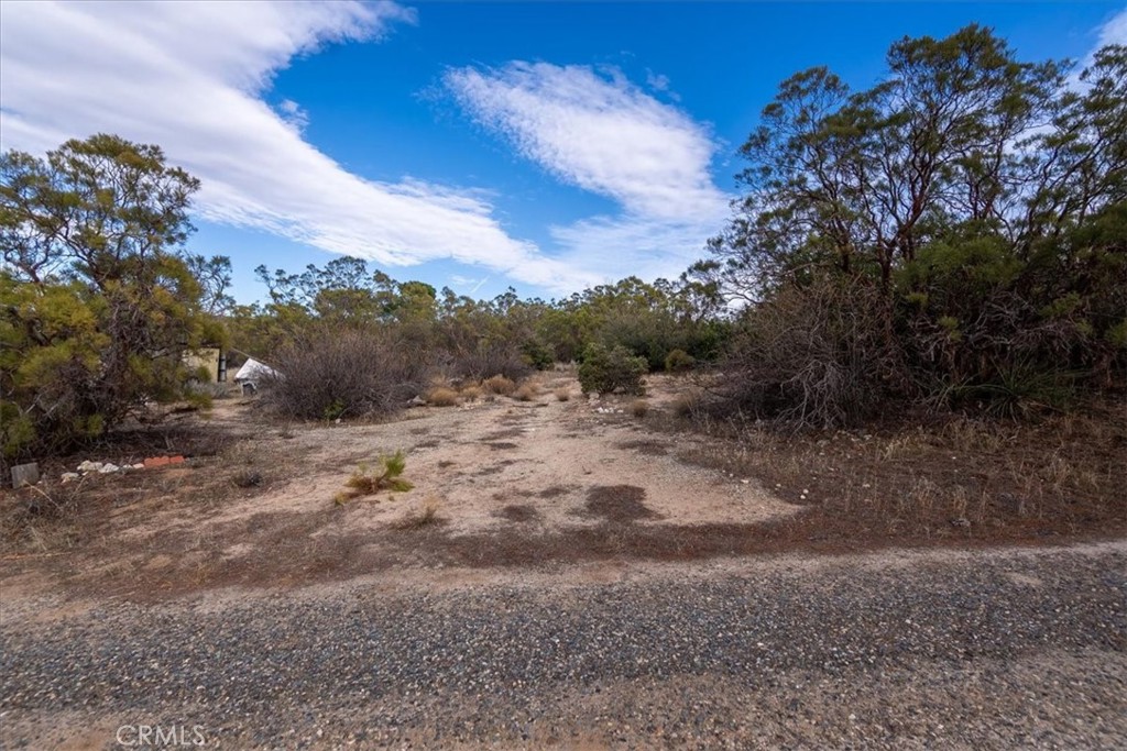 59481 Burnt Valley Road Anza, CA 92539 - Photo 63 of 65
