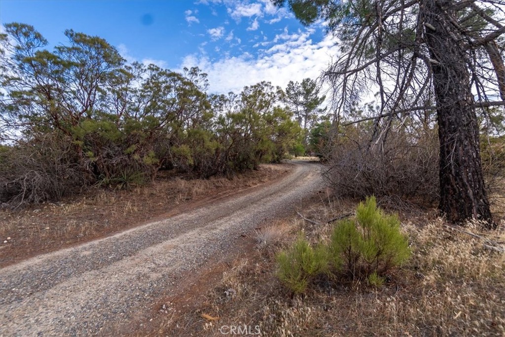 59481 Burnt Valley Road Anza, CA 92539 - Photo 64 of 65