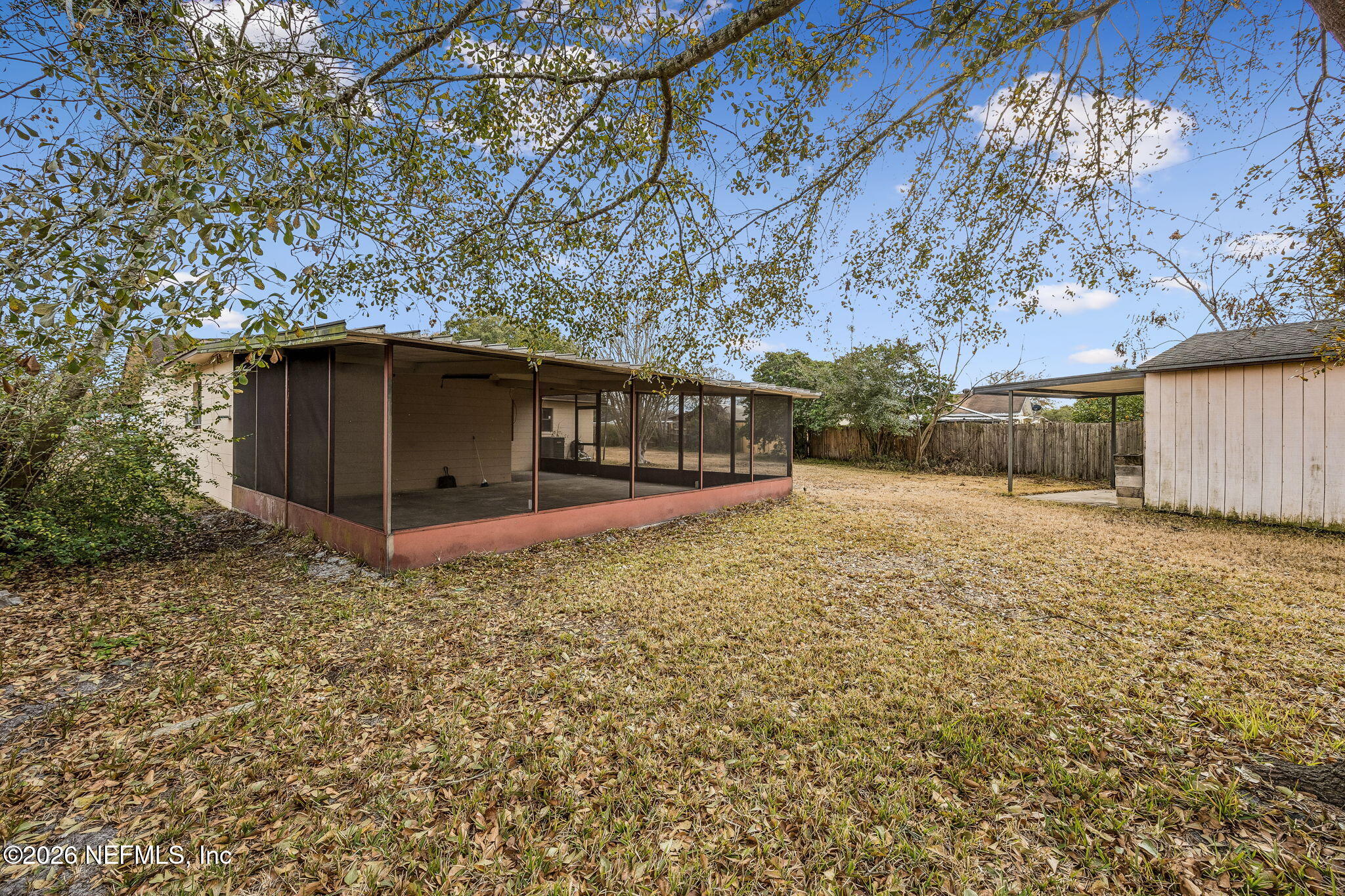 8338 Dobry Court Jacksonville, FL 32221 - Photo 37 of 43 Backyard