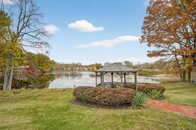 a view of a yard with trees
