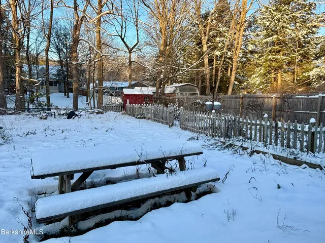 a view of a yard with a tree