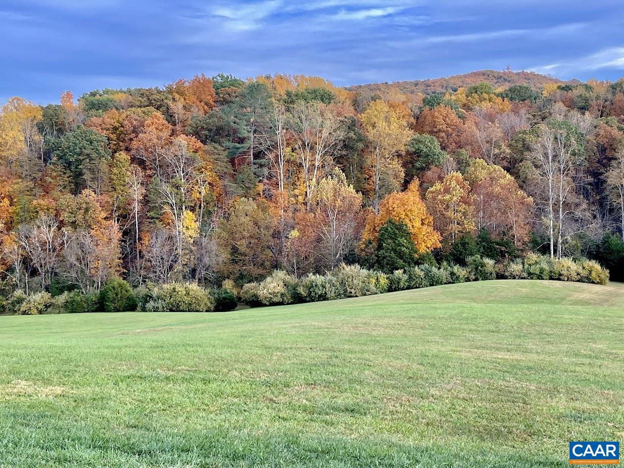 5797 Advance Mills Road Advance Mills, VA 22968 - Photo 65 of 70 a view of a field with an trees
