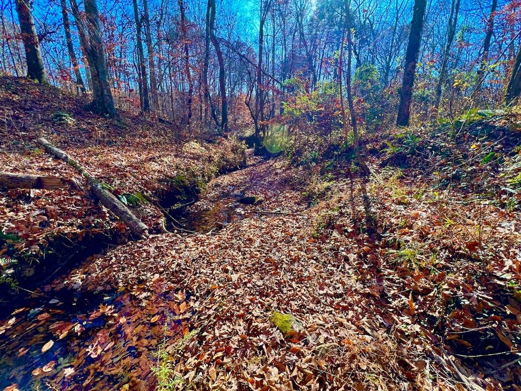 Lunenburg County Road Keysville, VA 23947 - Photo 17 of 22 Gallery Image 17