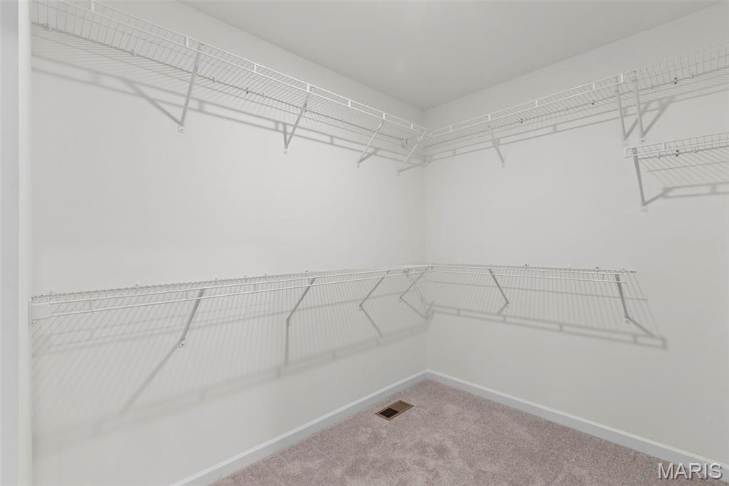 2 Maple Expanded At Deer Meadows Sullivan, MO 63080 - Photo 5 of 23