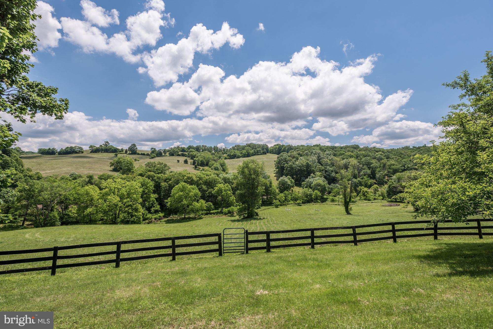 3327 Lost Corner Road Delaplane, VA 20144 - Photo 11 of 30 Perfect foxhunter's retreat!