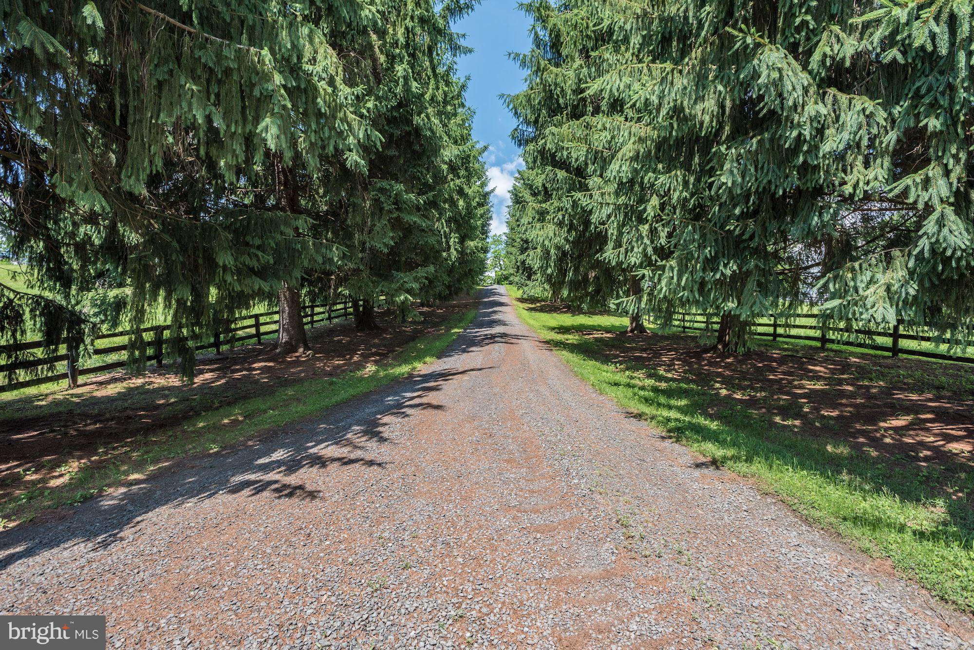 3327 Lost Corner Road Delaplane, VA 20144 - Photo 5 of 30 Tree-lined driveway sets the tone