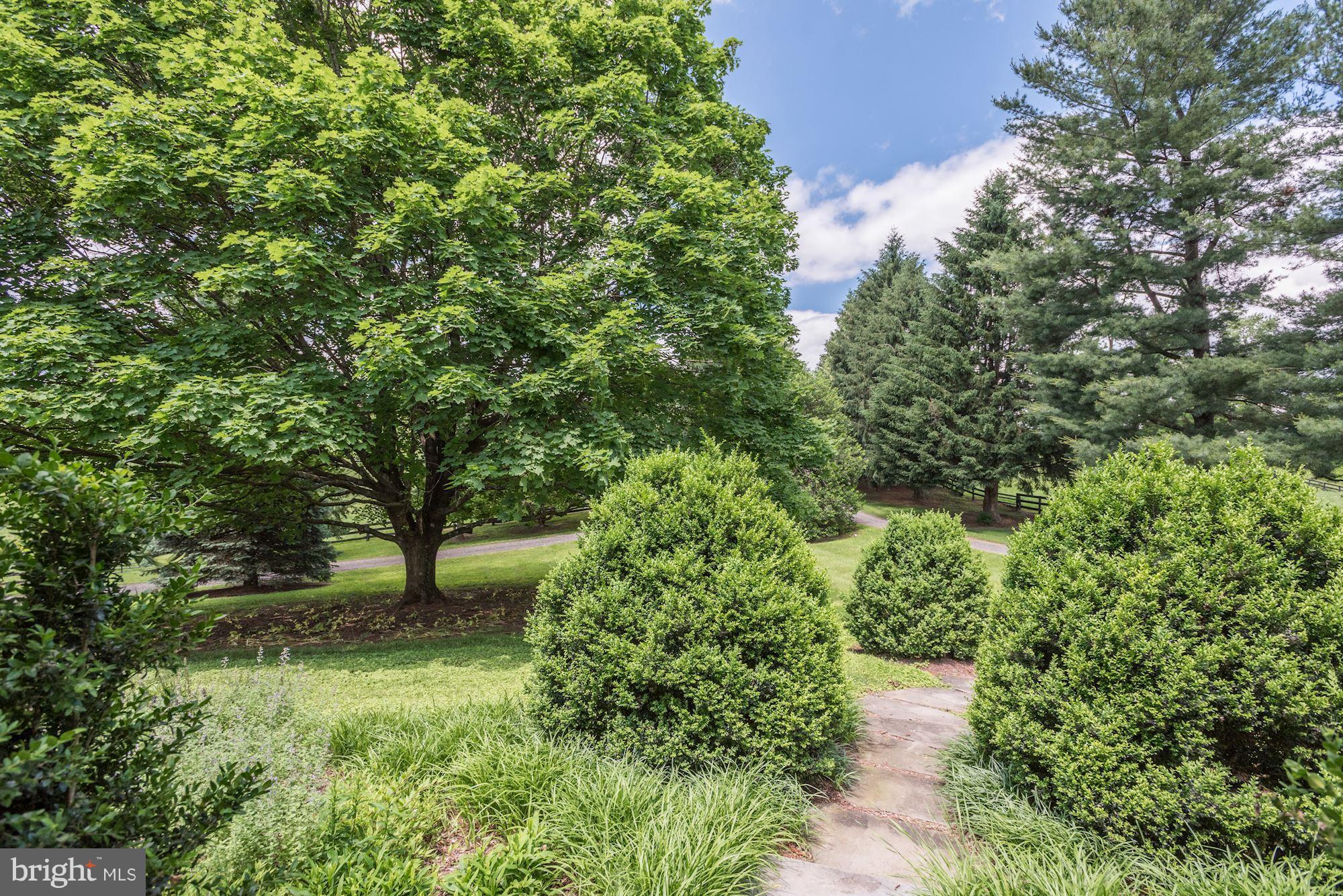 3327 Lost Corner Road Delaplane, VA 20144 - Photo 6 of 30 Lovely landscaping and stone walkway