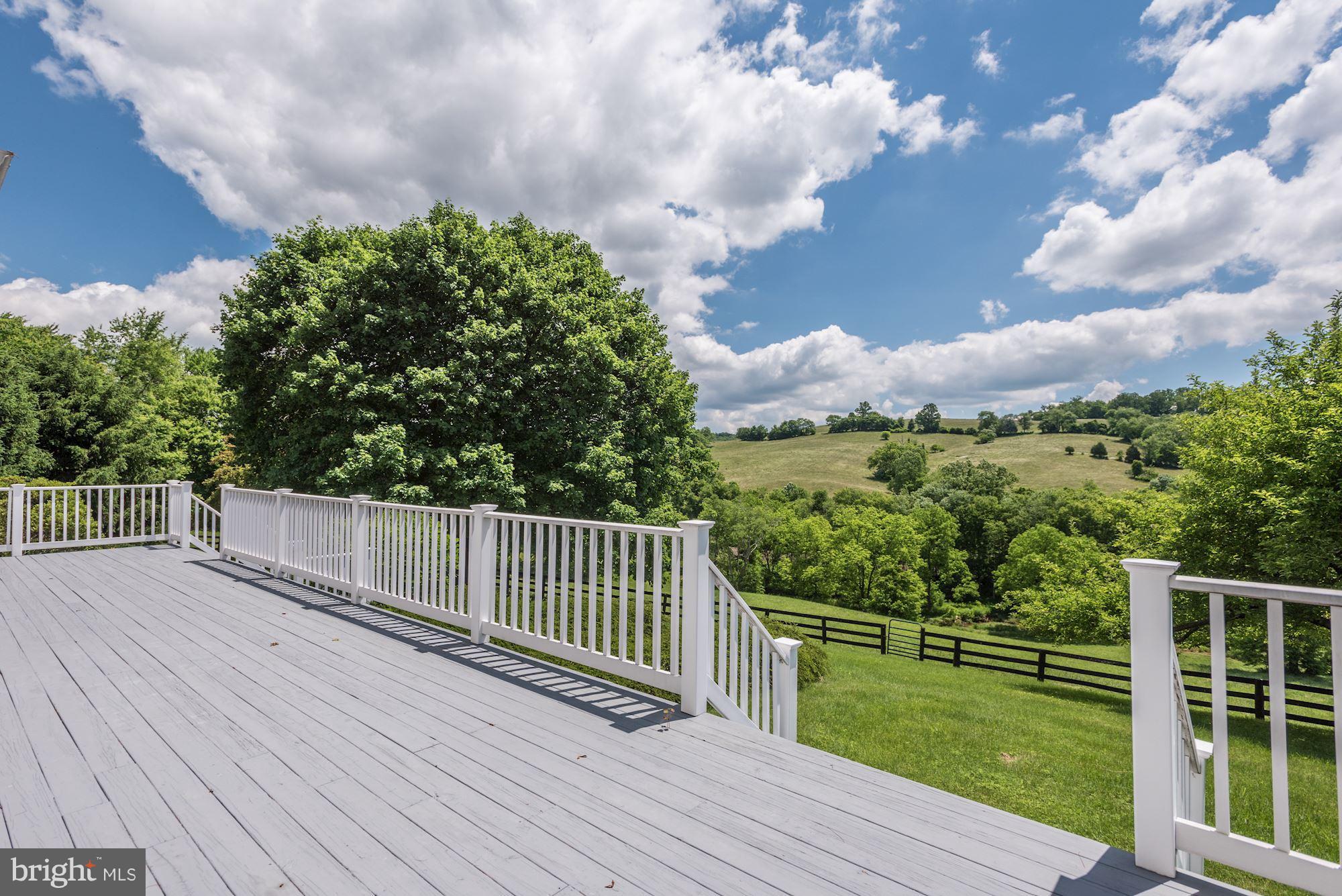 3327 Lost Corner Road Delaplane, VA 20144 - Photo 8 of 30 Enjoy an afternoon drink on the deck.