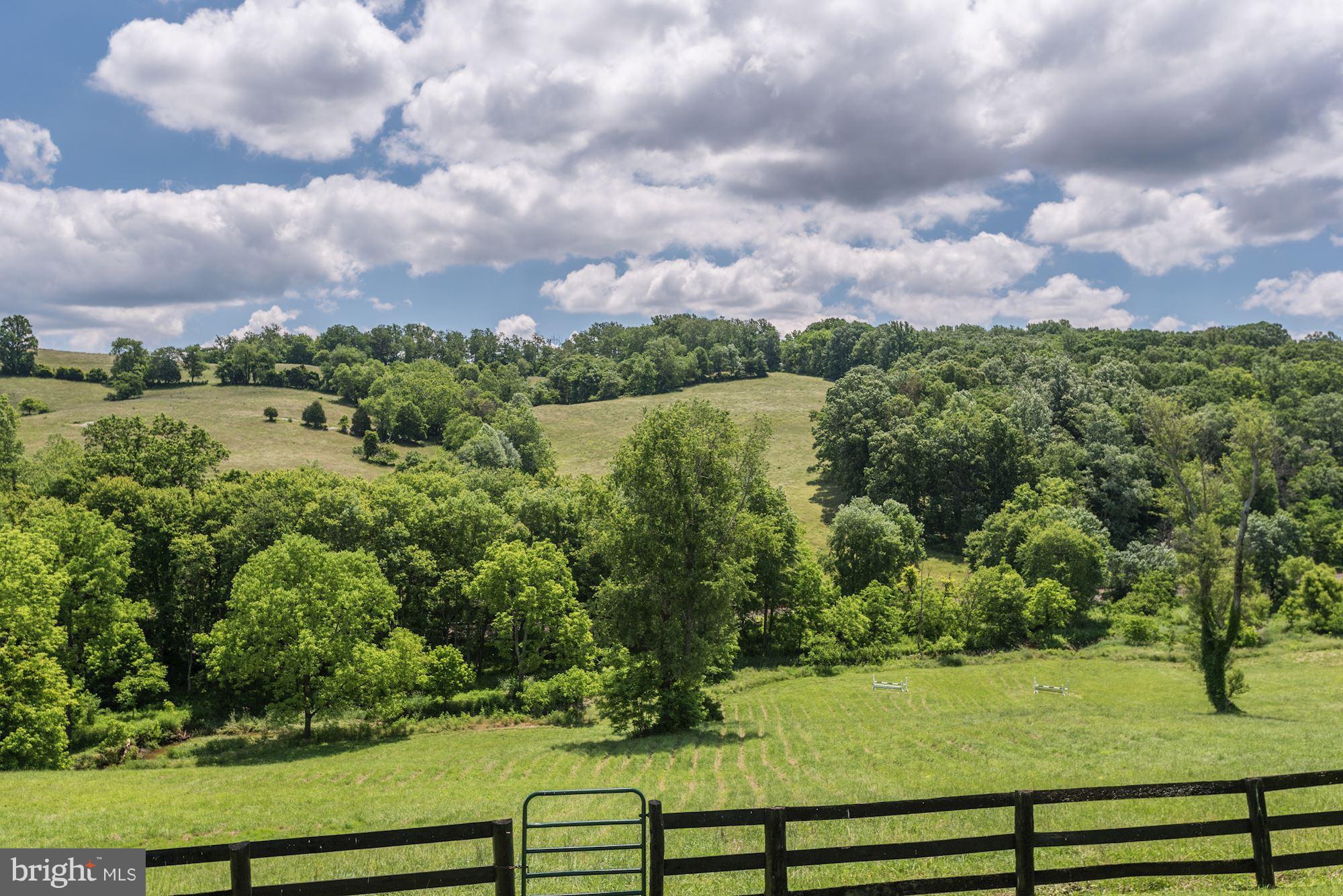 3327 Lost Corner Road Delaplane, VA 20144 - Photo 10 of 30 Surrounded by hundreds of acres in conservation
