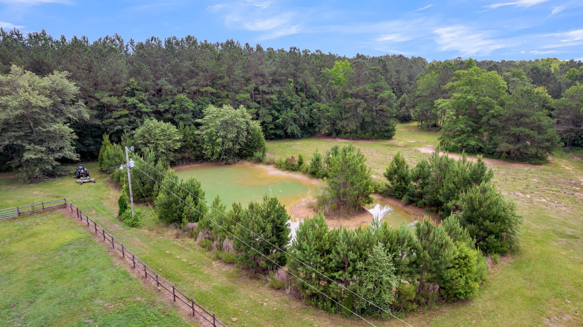 194 Jesswhit Road Reevesville, SC 29471 - Photo 16 of 60 CREM -194 Jesswhit Rd reshoot-7