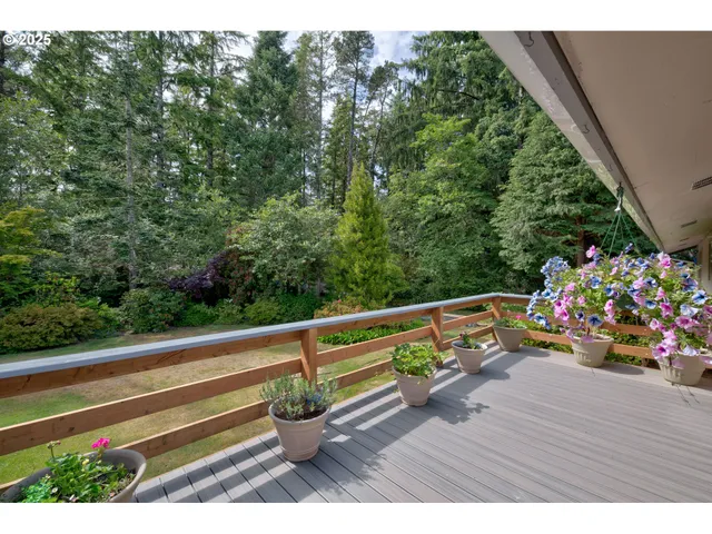 a view of outdoor space and yard