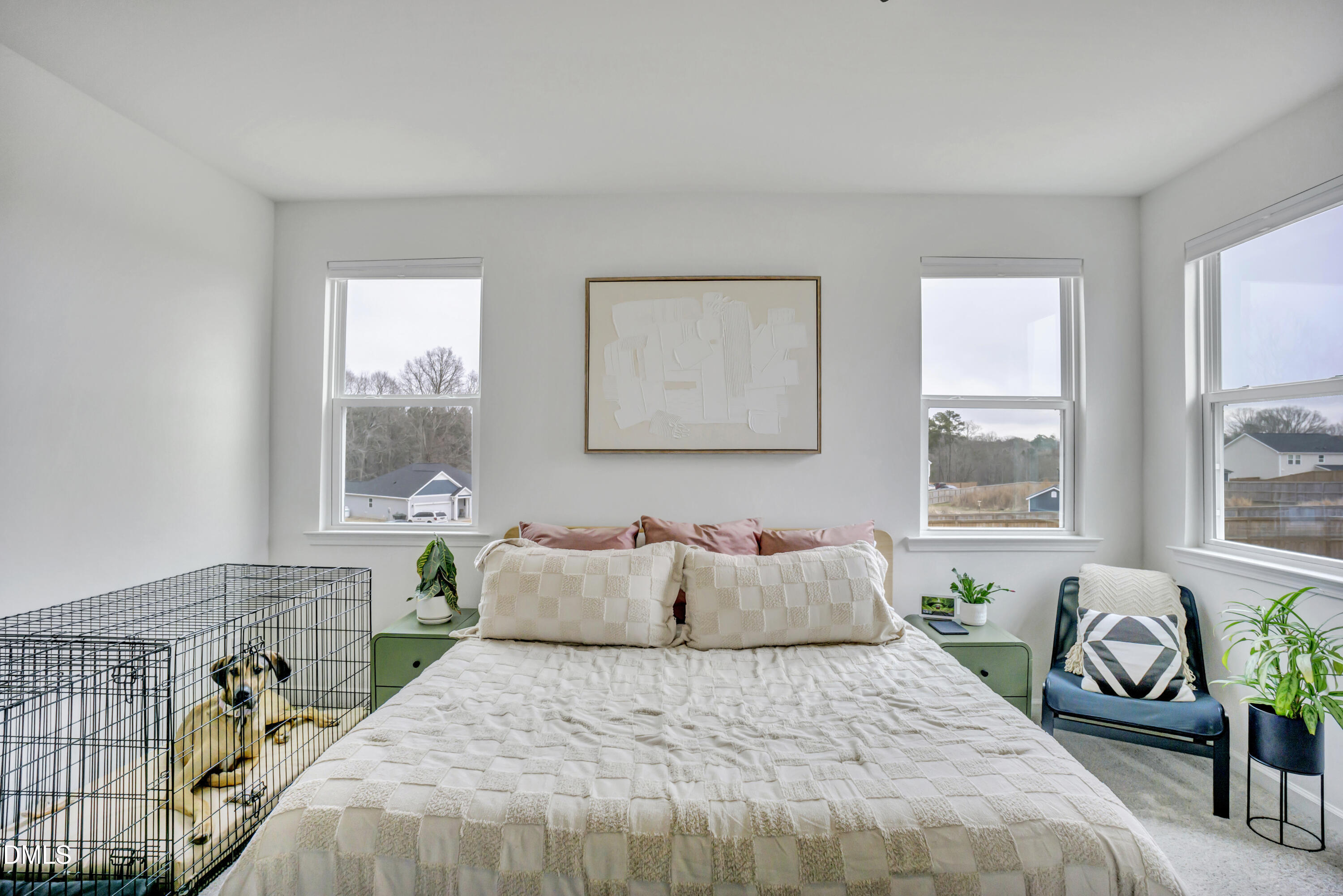 424 Thorny Branch Drive Raleigh, NC 27603 - Photo 20 of 43 DSC02435