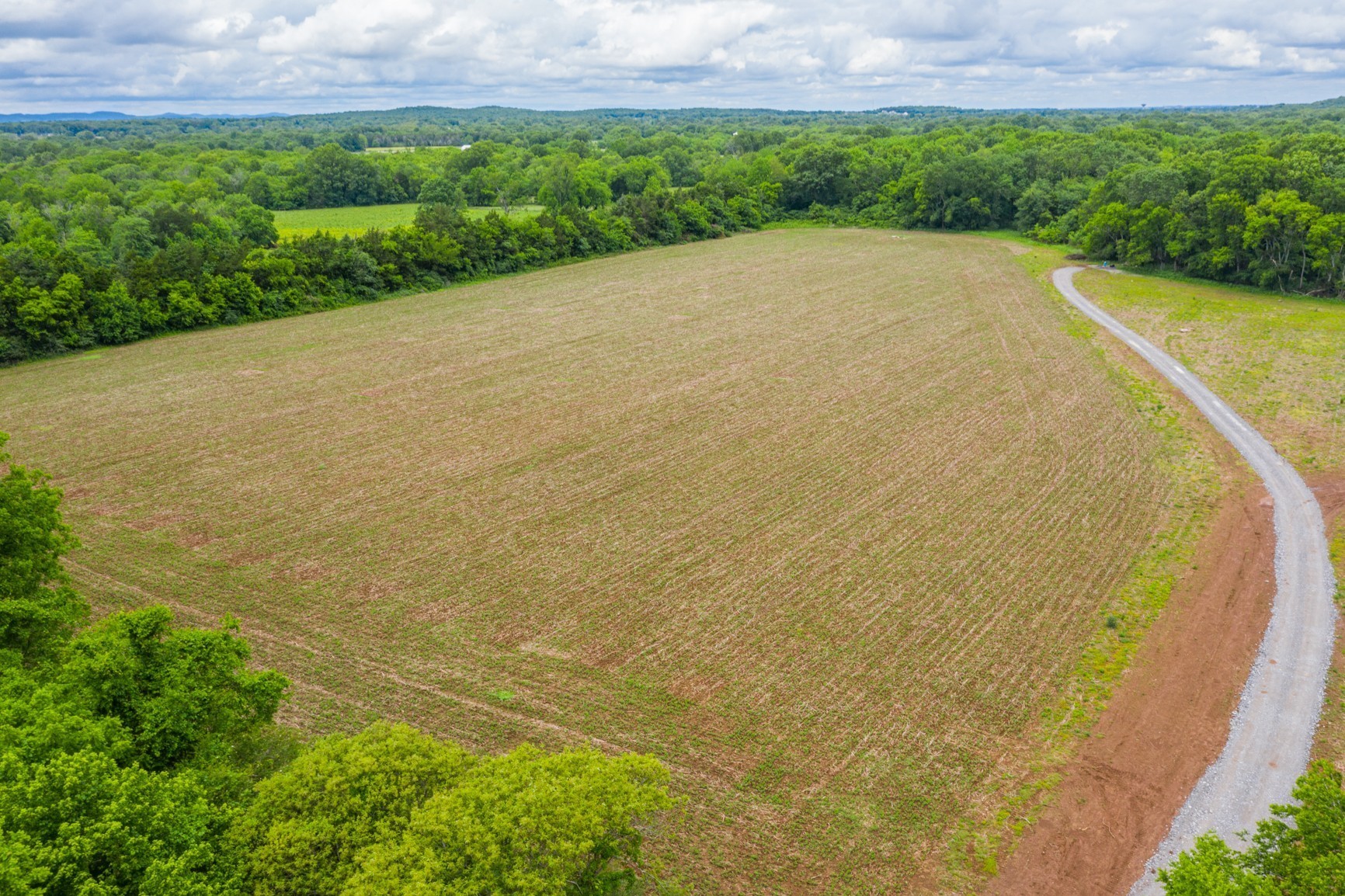 320 Crescent Road Murfreesboro, TN 37128 - Photo 8 of 31 Gallery Image 8
