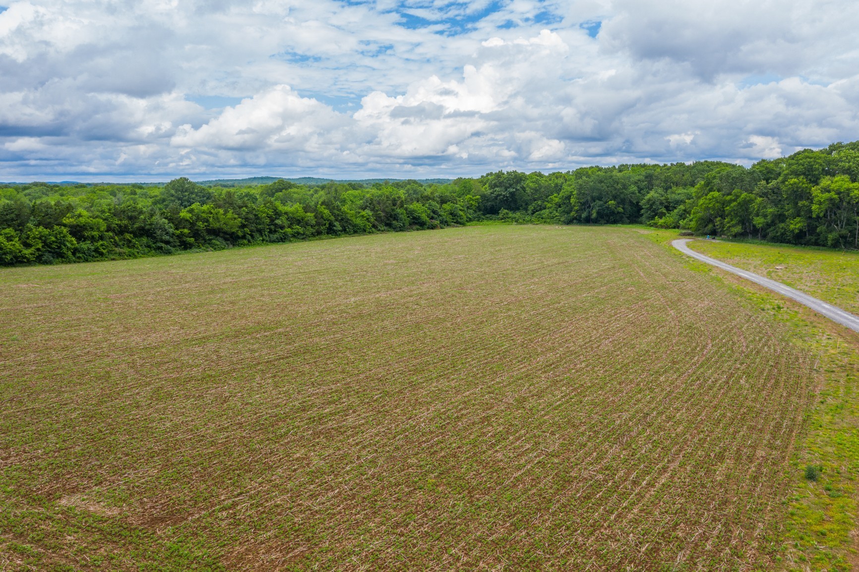 320 Crescent Road Murfreesboro, TN 37128 - Photo 10 of 31 Gallery Image 10