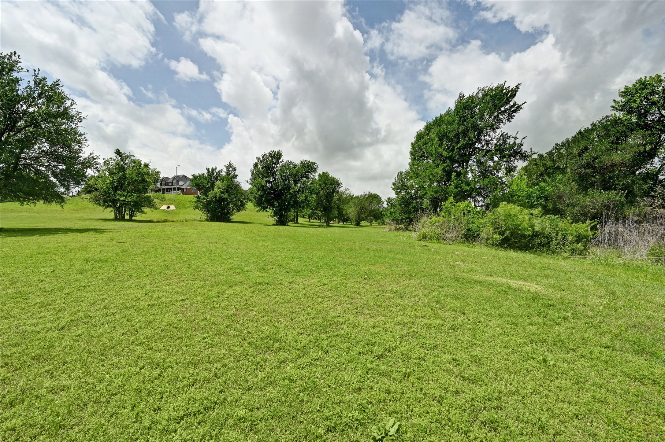 1700 Tanner Loop Taylor, TX 76574 - Photo 18 of 32 Expansive green lawn with mature trees and distant residential architecture