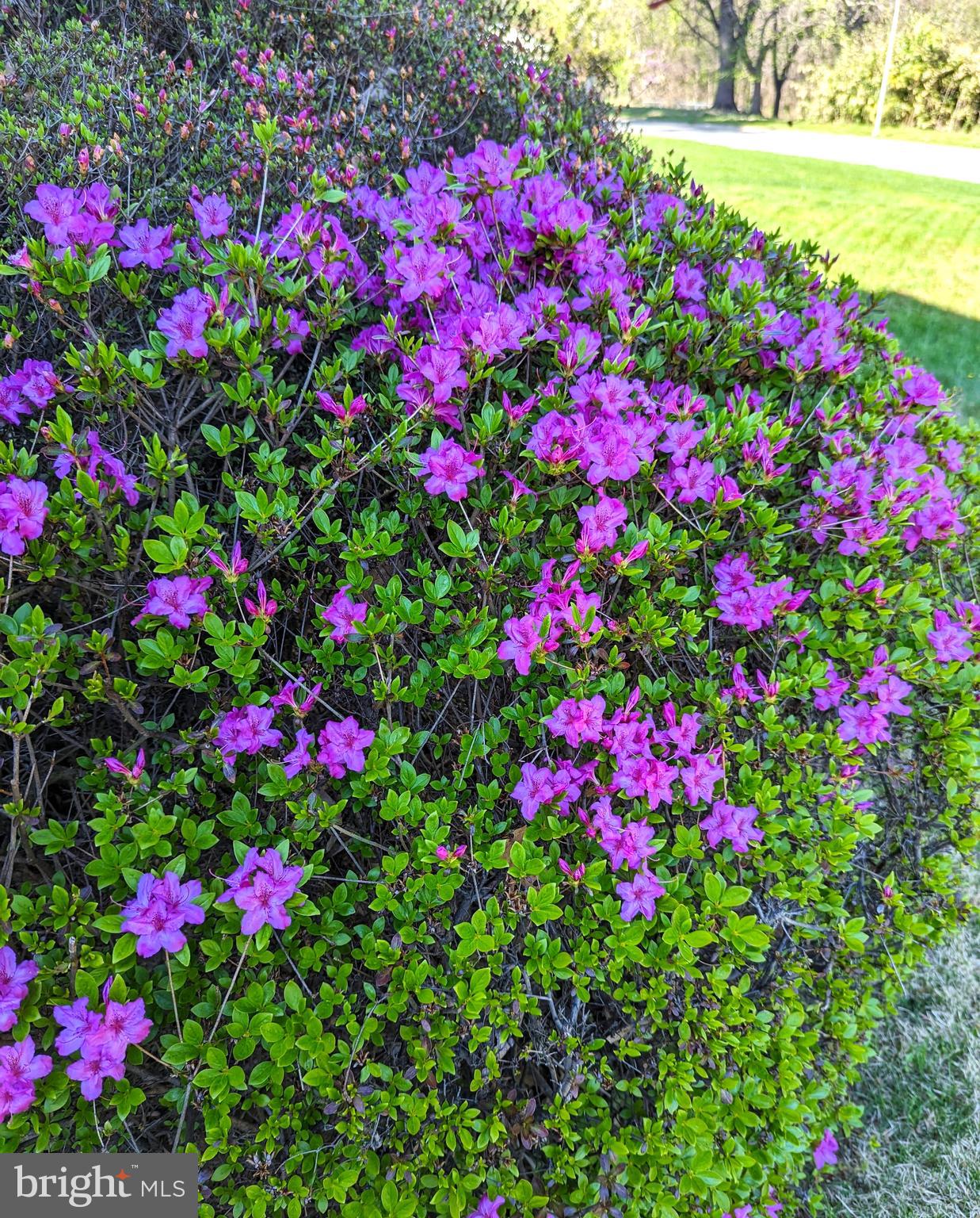 12804 Kernel Circle Bowie, MD 20715 - Photo 46 of 52