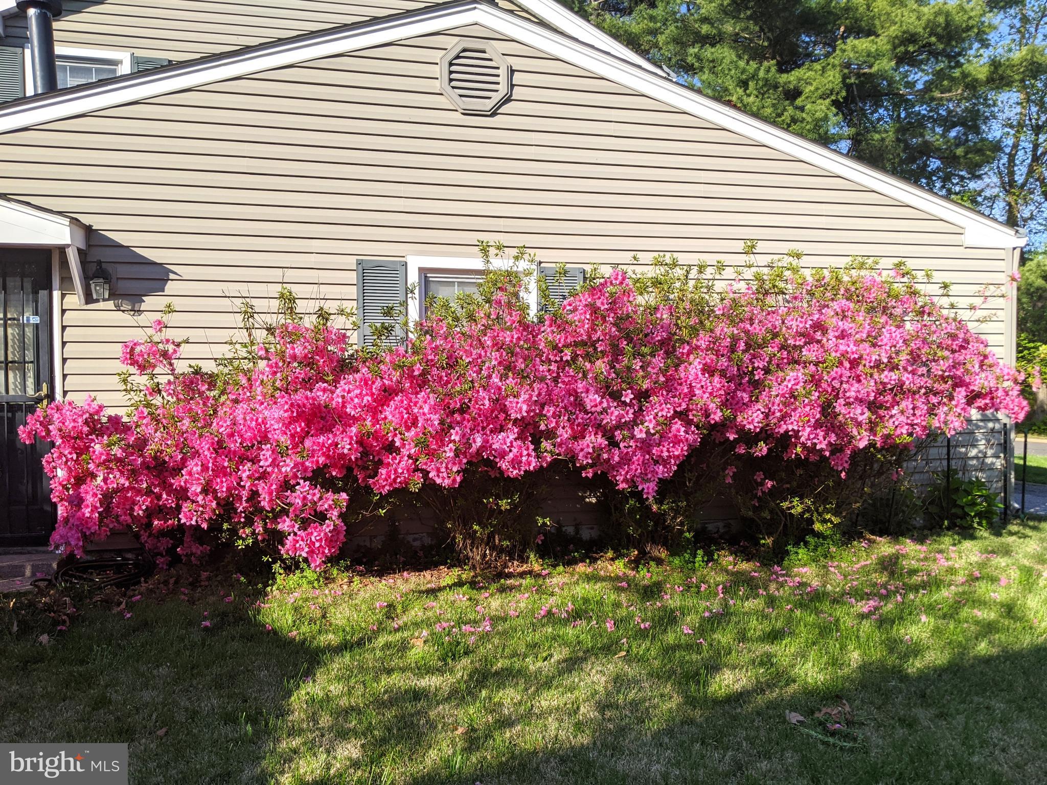 12804 Kernel Circle Bowie, MD 20715 - Photo 48 of 52