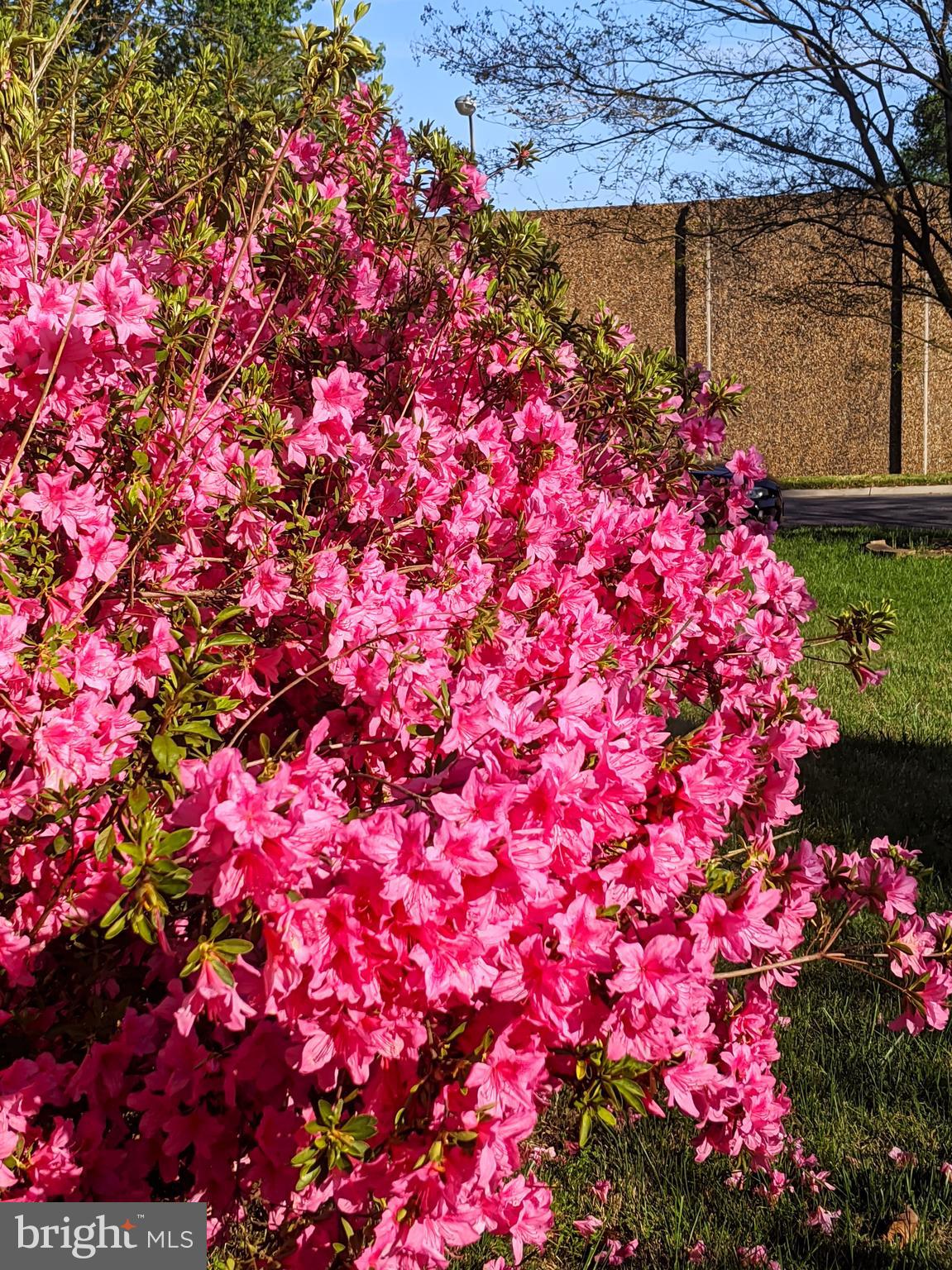 12804 Kernel Circle Bowie, MD 20715 - Photo 50 of 52