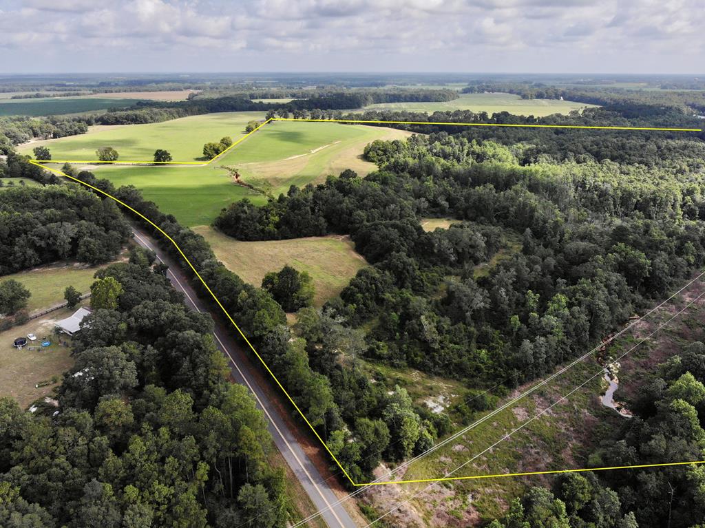 318.5-ac Goose Hollow Road Geneva, AL 36340 - Photo 13 of 50