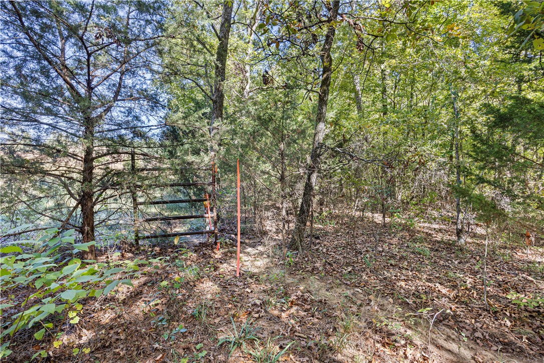 4200 County Road Clarksville, AR 72830 - Photo 20 of 48 Gallery Image 20