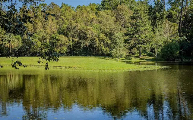 a view of a lake view