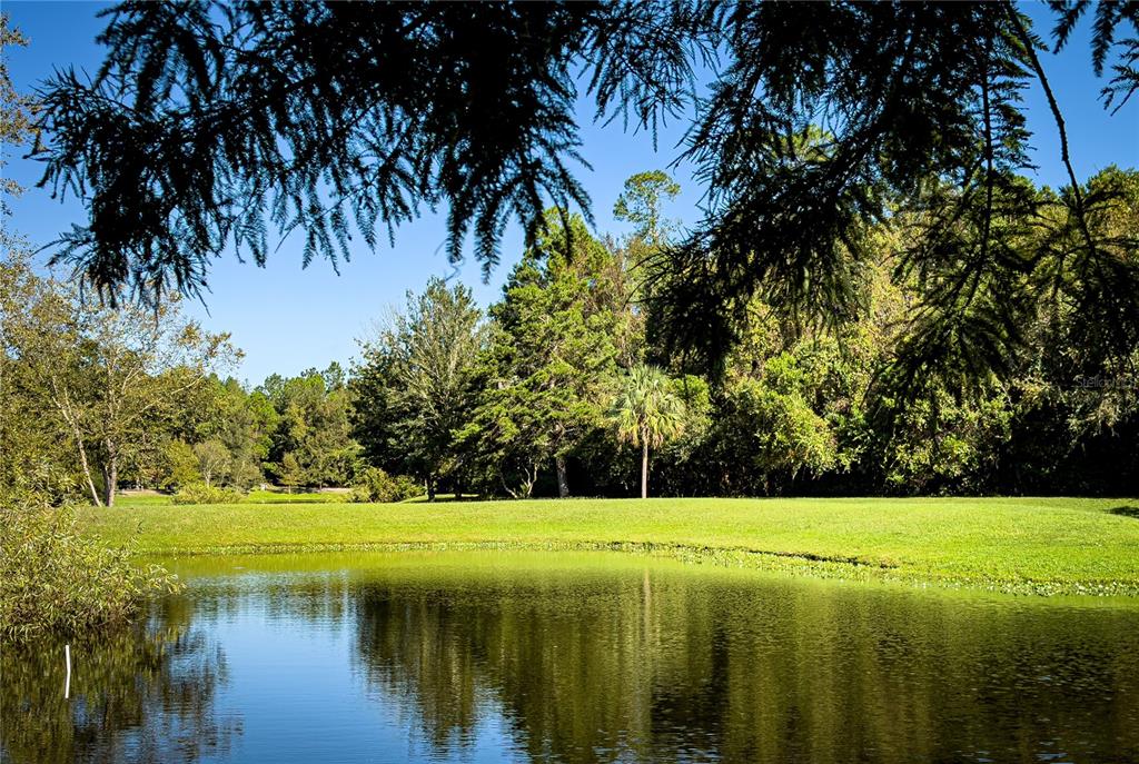 Tbd Northwest 23rd Terrace Gainesville, FL 32605 - Photo 13 of 13 a view of a park with large trees