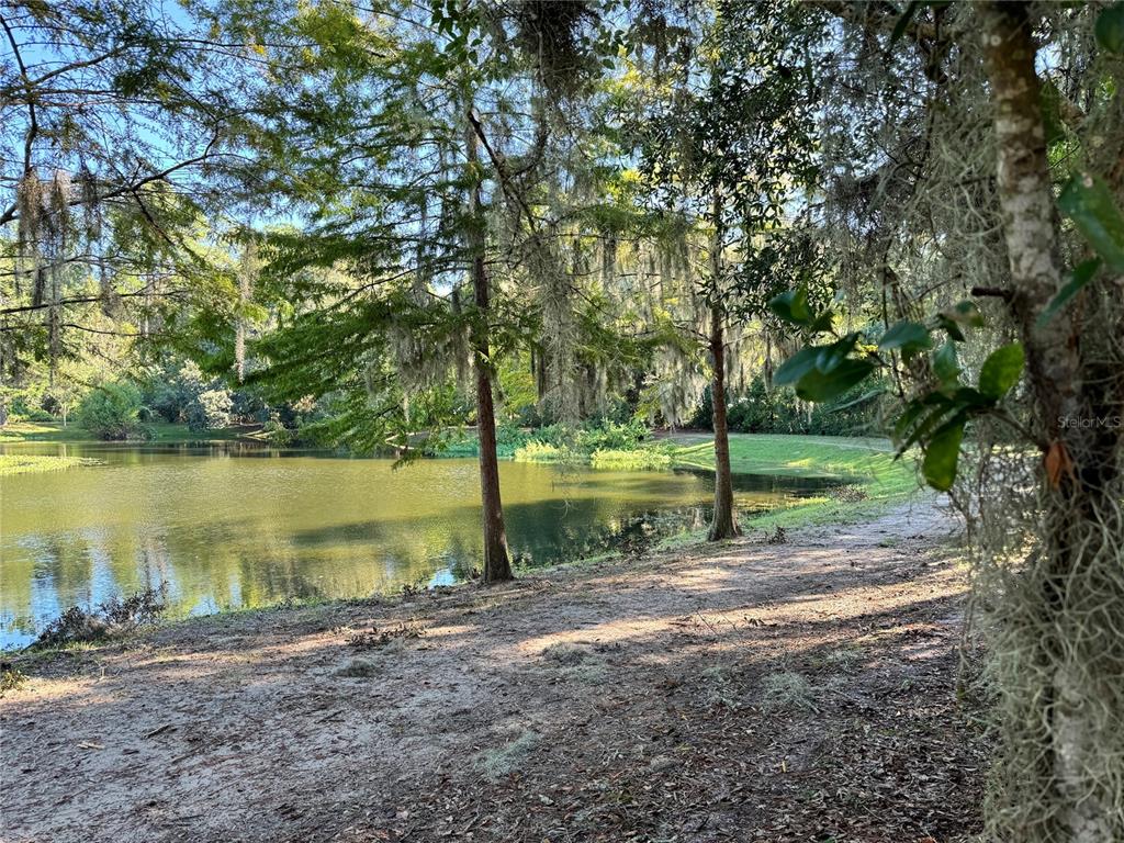 Tbd Northwest 23rd Terrace Gainesville, FL 32605 - Photo 7 of 13 a view of a park with large trees