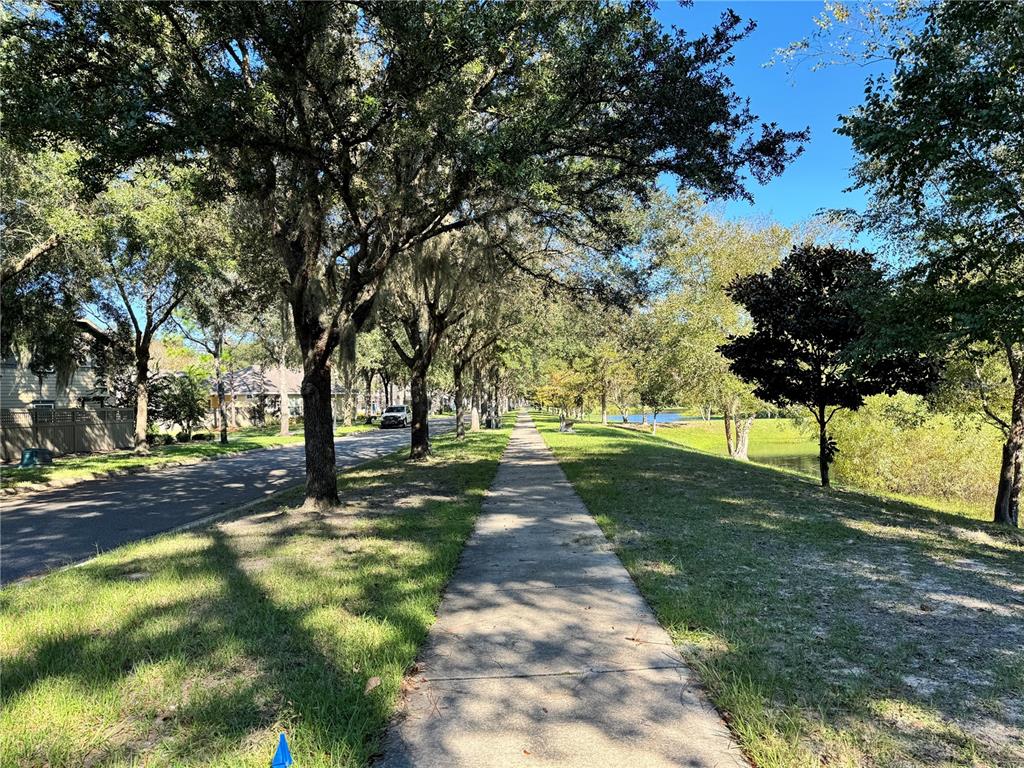 Tbd Northwest 23rd Terrace Gainesville, FL 32605 - Photo 8 of 13 a view of yard