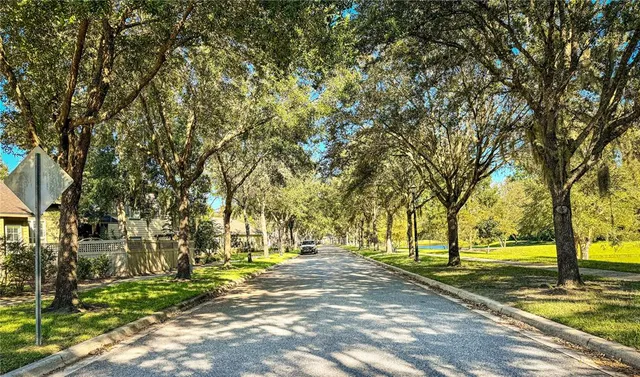 a view of yard with trees