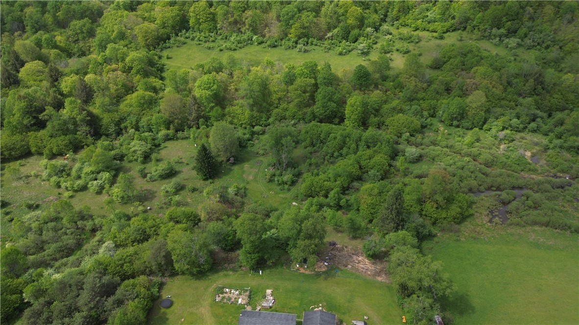 374 Brewer Run Road Smethport, PA 16749 - Photo 8 of 40